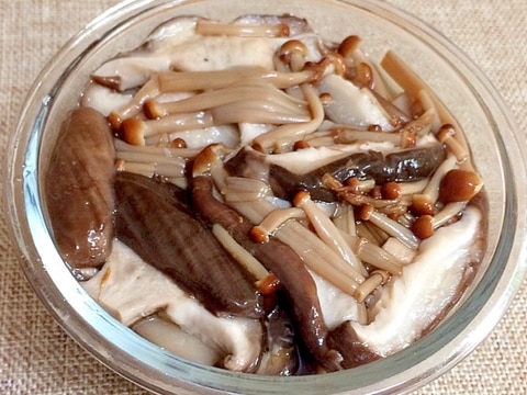 しいたけと茶えのきの塩きのこ レシピ 作り方 By Torokonomiya 楽天レシピ しいたけと茶えのきの塩きのこ レシピ 作り方 By Torokonomiya 楽天レシピ